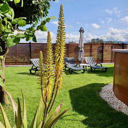 Rosinha Country House Vale de Cambra Luaran gambar