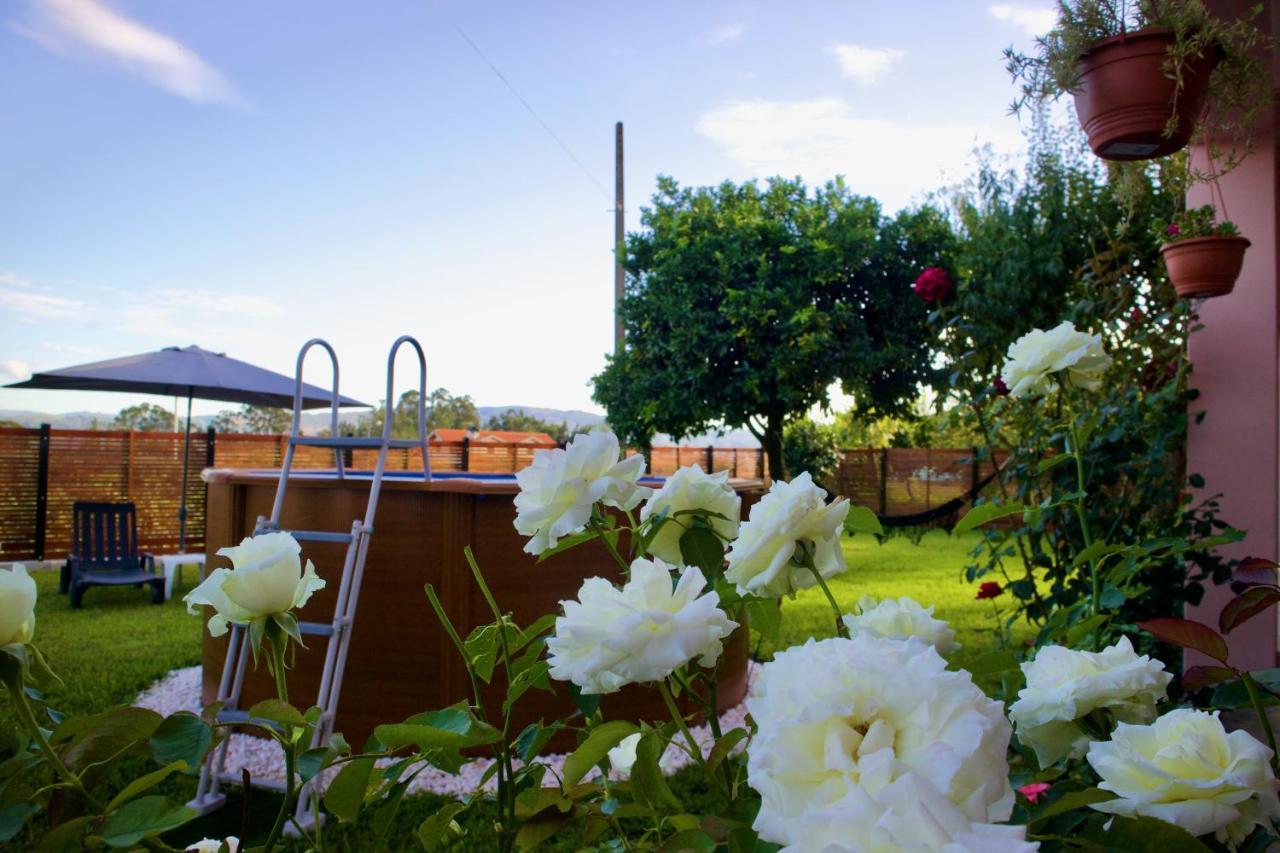 Rosinha Country House Vale de Cambra Luaran gambar