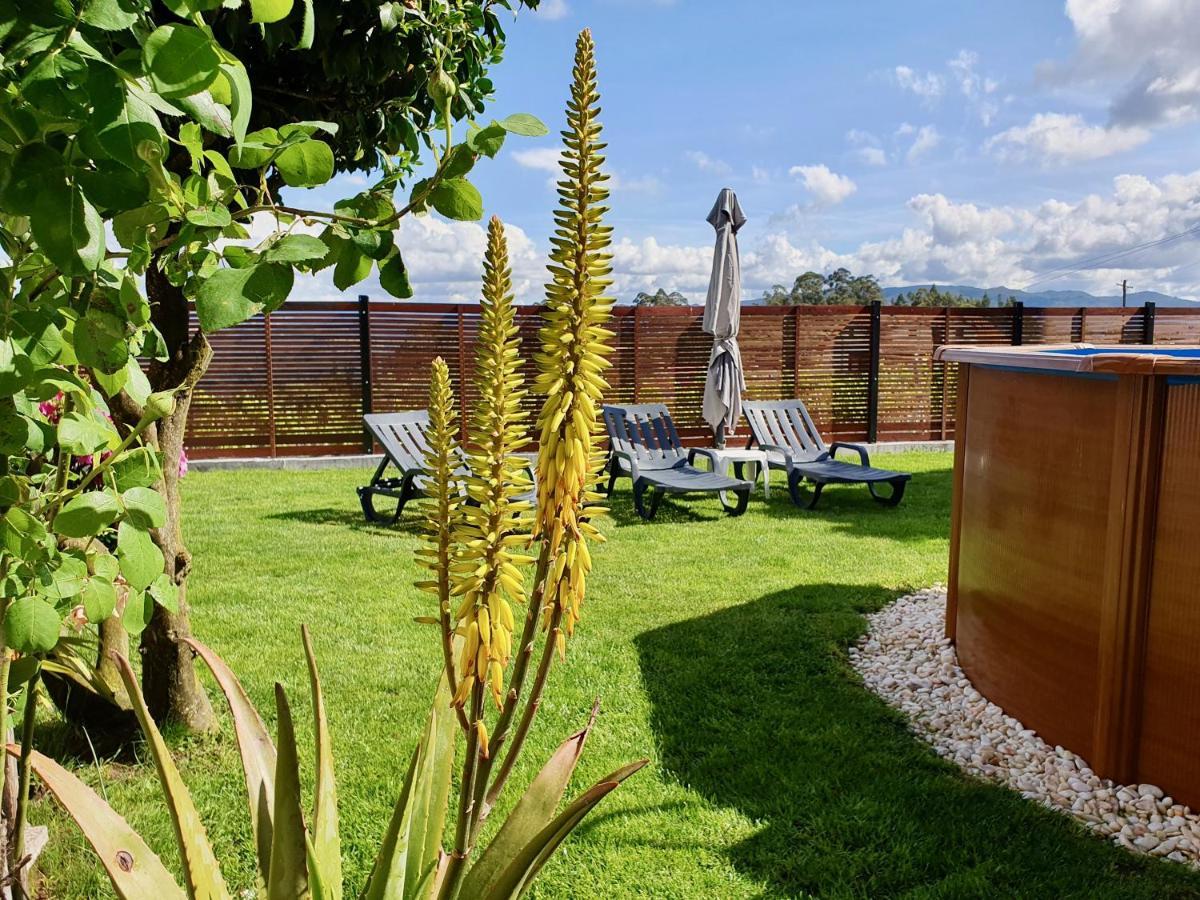 Rosinha Country House Vale de Cambra Luaran gambar