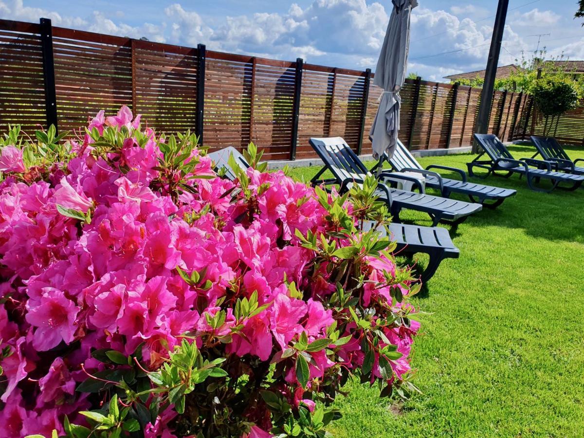 Rosinha Country House Vale de Cambra Luaran gambar