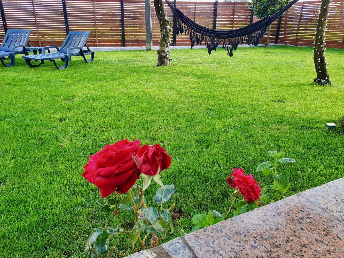 Rosinha Country House Vale de Cambra Luaran gambar