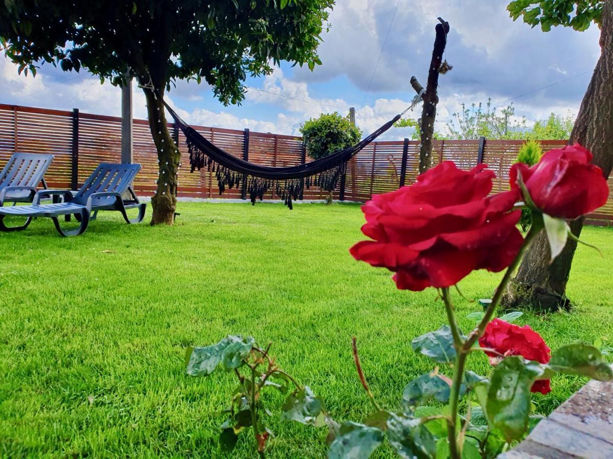 Rosinha Country House Vale de Cambra Luaran gambar