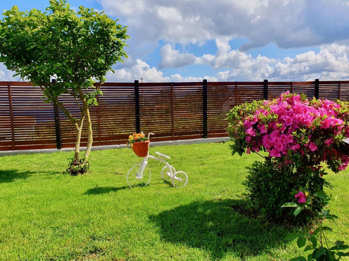 Rosinha Country House Vale de Cambra Luaran gambar