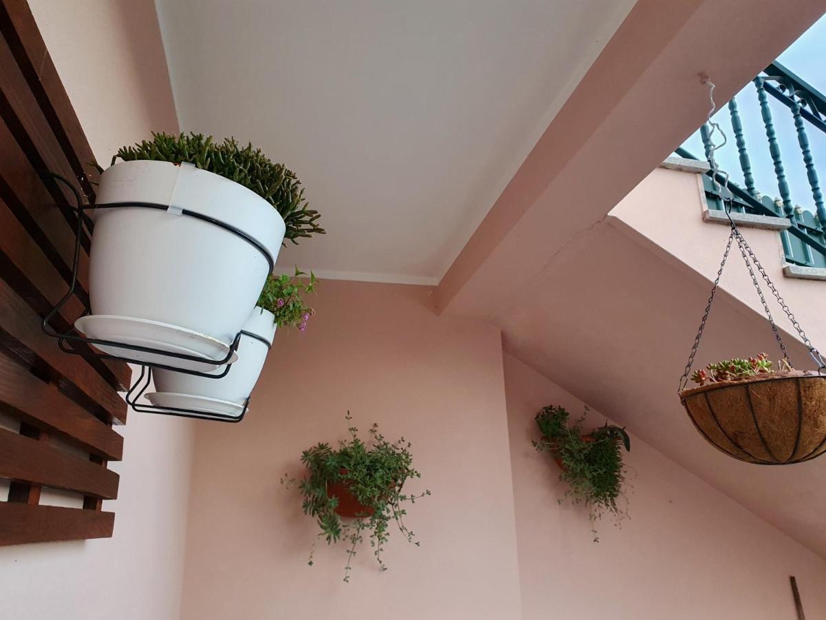 Rosinha Country House Vale de Cambra Luaran gambar