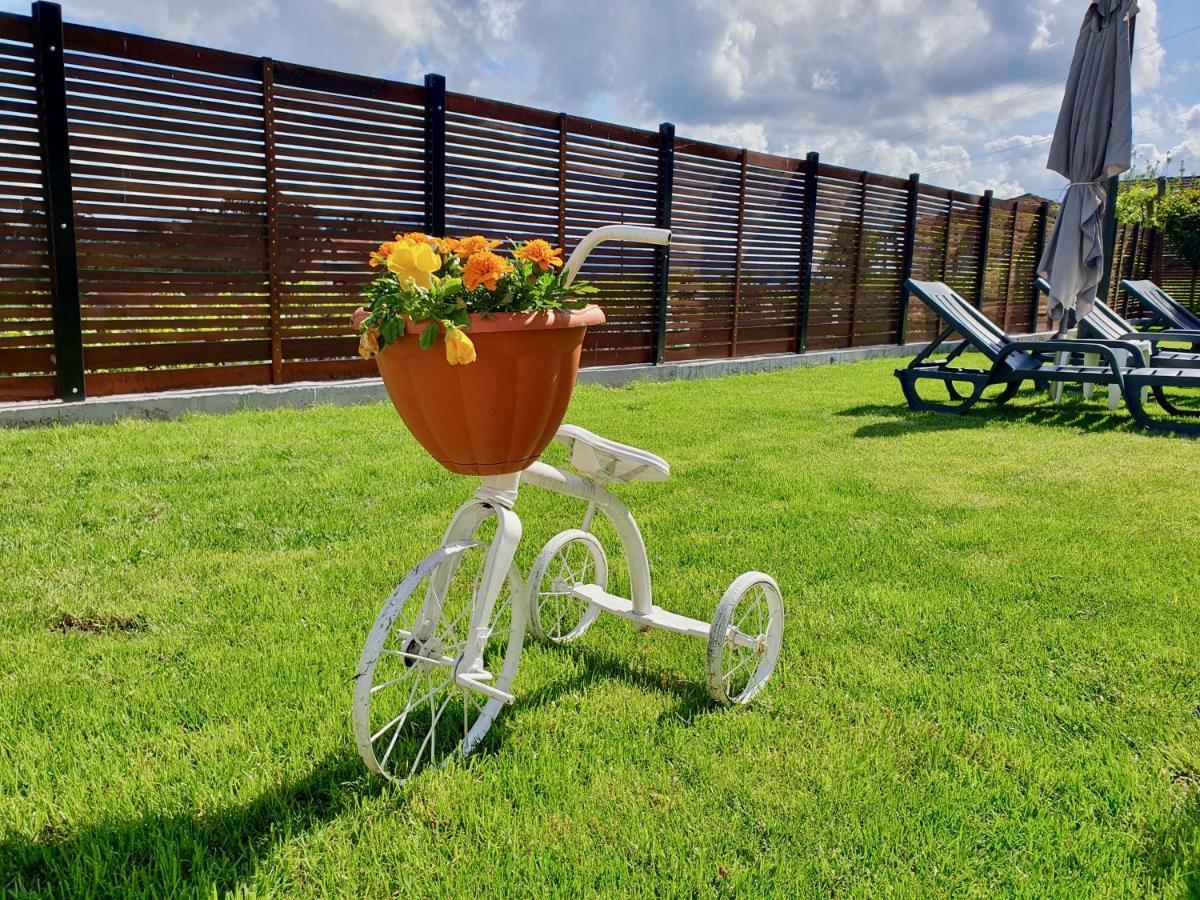 Rosinha Country House Vale de Cambra Luaran gambar